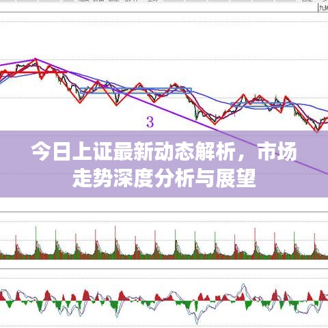 今日上證最新動態(tài)解析，市場走勢深度分析與展望