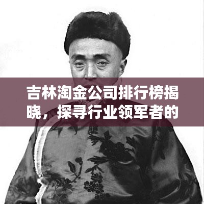 吉林淘金公司排行榜揭曉，探尋行業(yè)領(lǐng)軍者的腳步，引領(lǐng)行業(yè)趨勢！