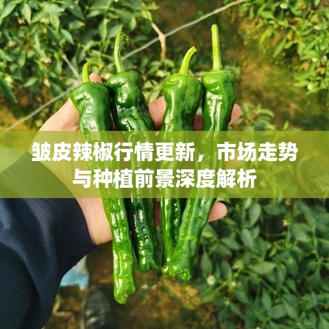 admin 第4頁(yè)