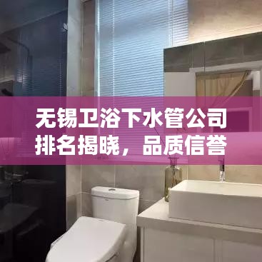 無錫衛(wèi)浴下水管公司排名揭曉，品質(zhì)信譽(yù)并重，哪家領(lǐng)先業(yè)界？