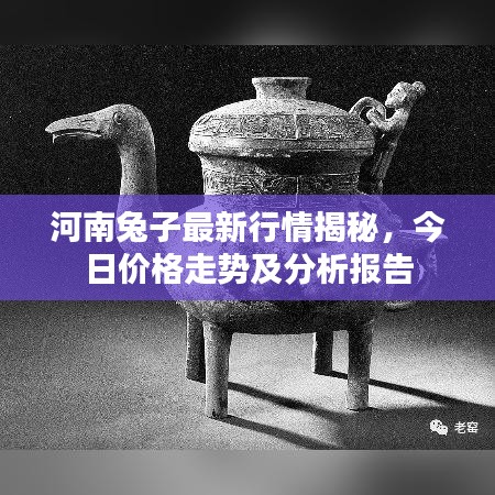 河南兔子最新行情揭秘，今日價(jià)格走勢(shì)及分析報(bào)告