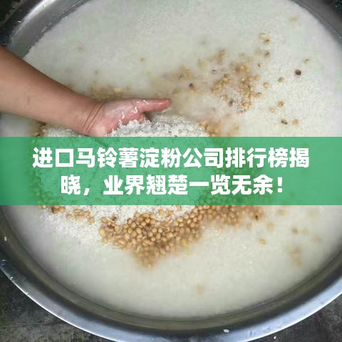 進口馬鈴薯淀粉公司排行榜揭曉，業(yè)界翹楚一覽無余！