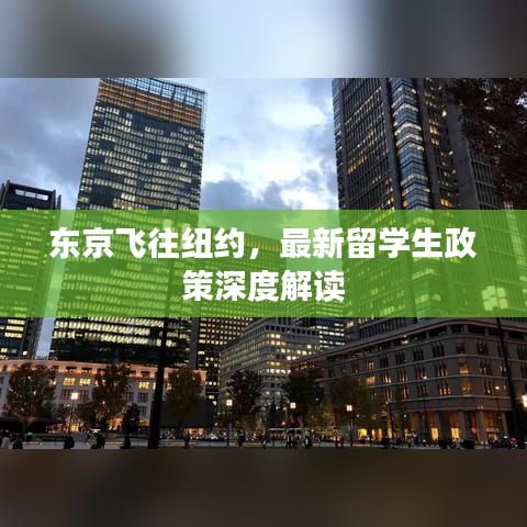 東京飛往紐約，最新留學(xué)生政策深度解讀