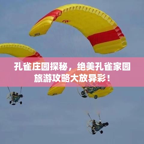 孔雀莊園探秘，絕美孔雀家園旅游攻略大放異彩！