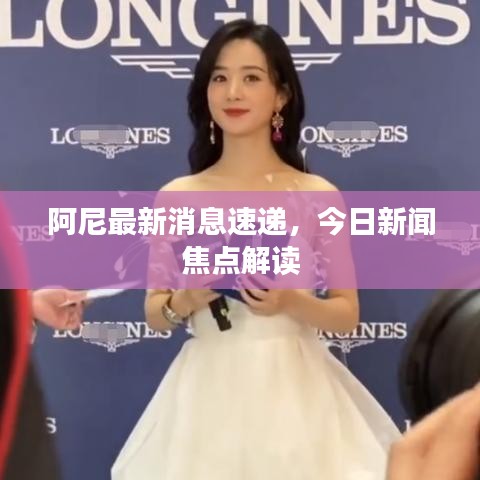 阿尼最新消息速遞，今日新聞焦點(diǎn)解讀
