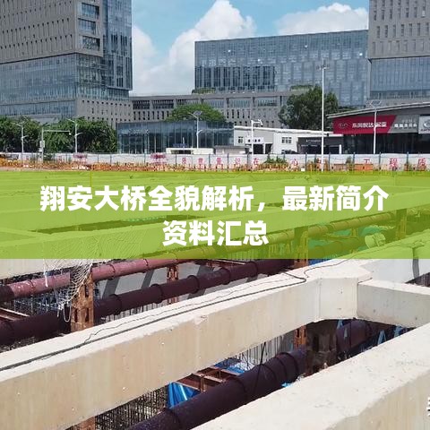 翔安大橋全貌解析，最新簡介資料匯總