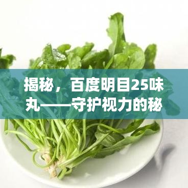 揭秘，百度明目25味丸——守護(hù)視力的秘密利器！