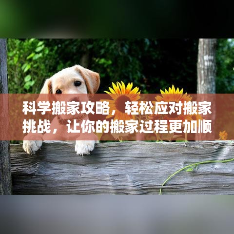 貴人善忘 第4頁