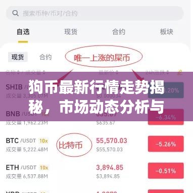 狗幣最新行情走勢揭秘，市場動(dòng)態(tài)分析與未來趨勢預(yù)測
