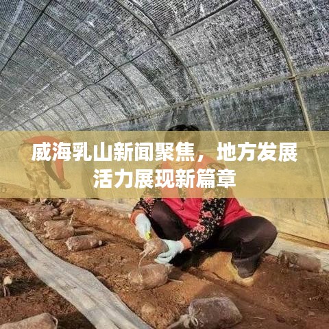 威海乳山新聞聚焦，地方發(fā)展活力展現(xiàn)新篇章