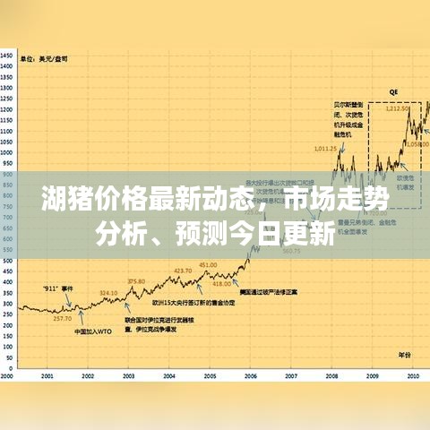 湖豬價格最新動態(tài)，市場走勢分析、預測今日更新