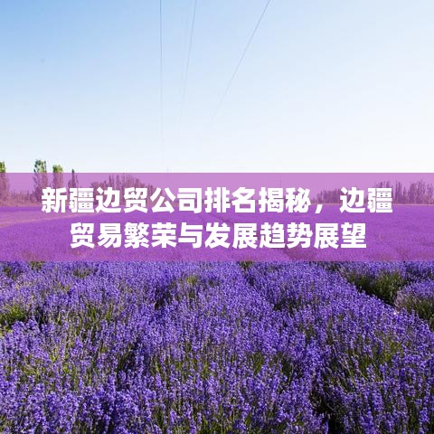 新疆邊貿(mào)公司排名揭秘，邊疆貿(mào)易繁榮與發(fā)展趨勢(shì)展望