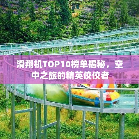 滑翔機(jī)TOP10榜單揭秘，空中之旅的精英佼佼者