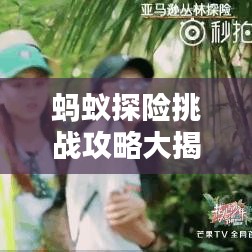 螞蟻探險挑戰(zhàn)攻略大揭秘，未知世界的必備探索指南