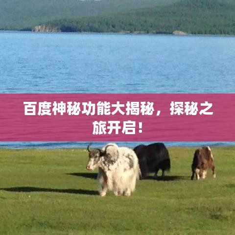 百度神秘功能大揭秘，探秘之旅開啟！