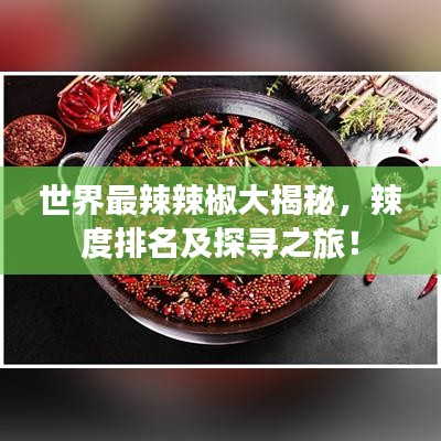 世界最辣辣椒大揭秘，辣度排名及探尋之旅！