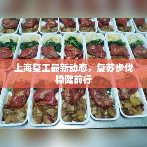 上海復(fù)工最新動(dòng)態(tài)，復(fù)蘇步伐穩(wěn)健前行