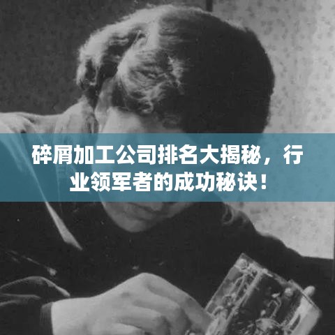 碎屑加工公司排名大揭秘，行業(yè)領(lǐng)軍者的成功秘訣！
