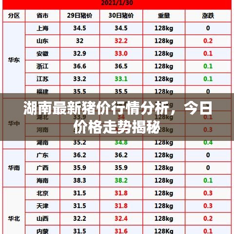 湖南最新豬價(jià)行情分析，今日價(jià)格走勢(shì)揭秘