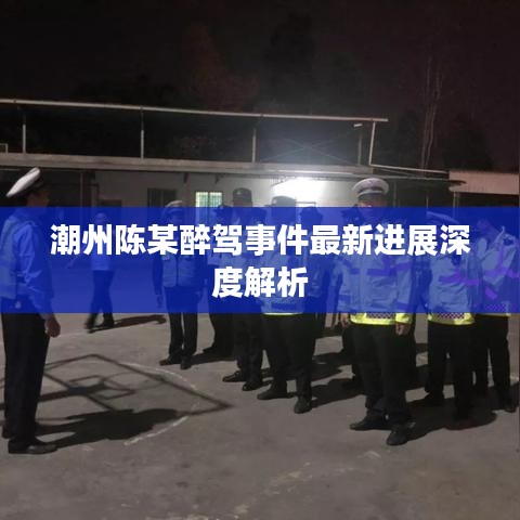 潮州陳某醉駕事件最新進(jìn)展深度解析