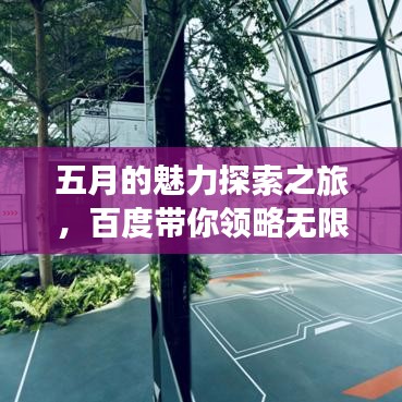 五月的魅力探索之旅，百度帶你領(lǐng)略無限精彩！