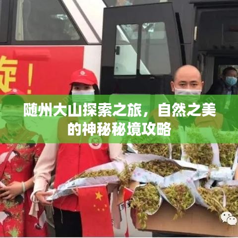 隨州大山探索之旅，自然之美的神秘秘境攻略