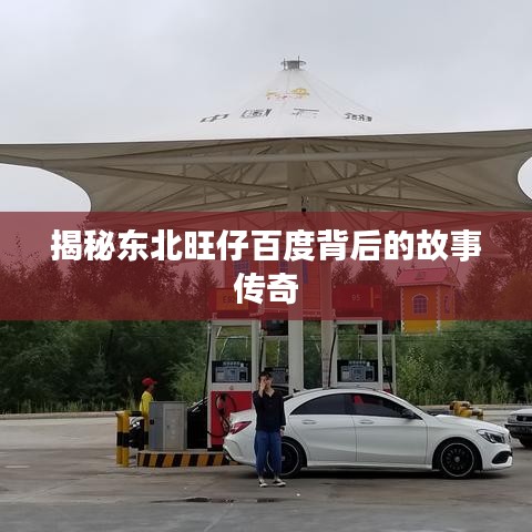 揭秘東北旺仔百度背后的故事傳奇