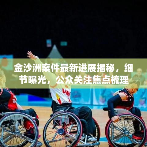 金沙洲案件最新進(jìn)展揭秘，細(xì)節(jié)曝光，公眾關(guān)注焦點(diǎn)梳理