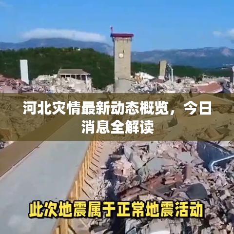 河北災(zāi)情最新動態(tài)概覽，今日消息全解讀