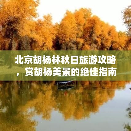 北京胡楊林秋日旅游攻略，賞胡楊美景的絕佳指南