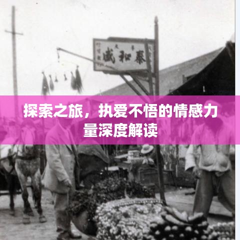 探索之旅，執(zhí)愛不悟的情感力量深度解讀