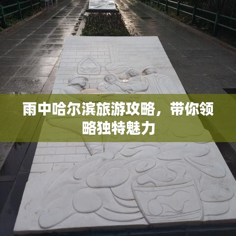 雨中哈爾濱旅游攻略，帶你領略獨特魅力