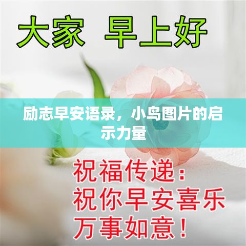 勵(lì)志早安語錄，小鳥圖片的啟示力量