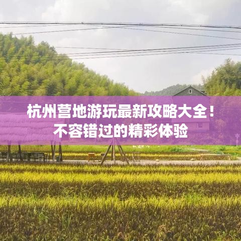 杭州營地游玩最新攻略大全！不容錯過的精彩體驗