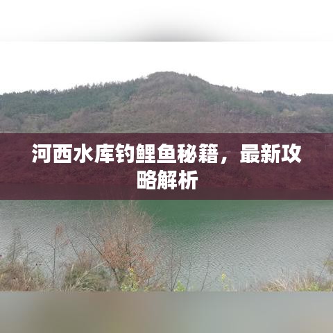 河西水庫釣鯉魚秘籍，最新攻略解析