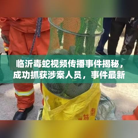 臨沂毒蛇視頻傳播事件揭秘，成功抓獲涉案人員，事件最新進展報道