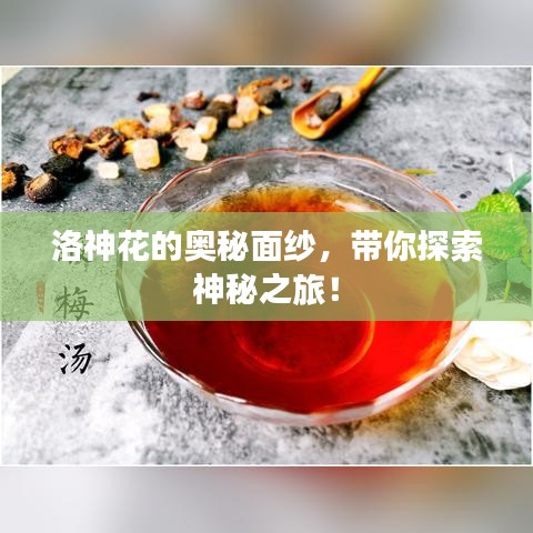 洛神花的奧秘面紗，帶你探索神秘之旅！