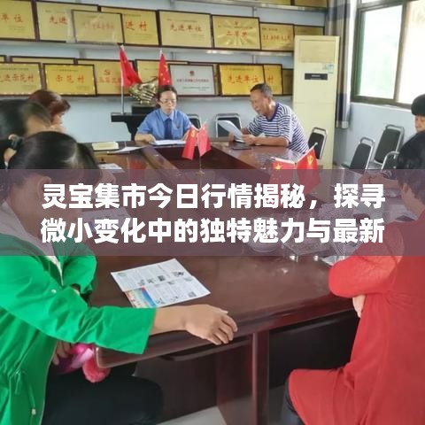 靈寶集市今日行情揭秘，探尋微小變化中的獨(dú)特魅力與最新價(jià)格