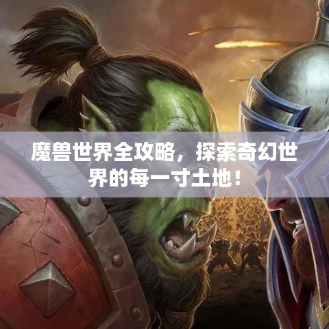 魔獸世界全攻略，探索奇幻世界的每一寸土地！