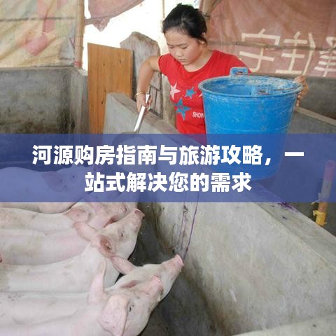 河源購房指南與旅游攻略，一站式解決您的需求