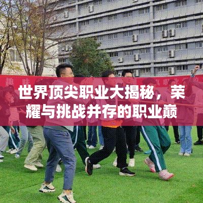 世界頂尖職業(yè)大揭秘，榮耀與挑戰(zhàn)并存的職業(yè)巔峰排名