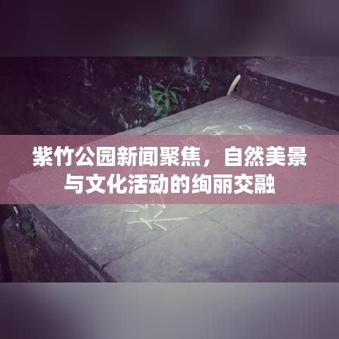 紫竹公園新聞聚焦，自然美景與文化活動(dòng)的絢麗交融