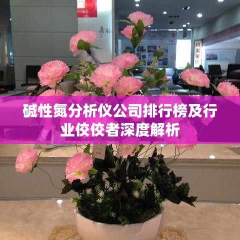 堿性氮分析儀公司排行榜及行業(yè)佼佼者深度解析