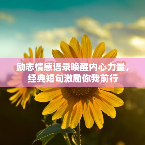 勵(lì)志情感語(yǔ)錄喚醒內(nèi)心力量，經(jīng)典短句激勵(lì)你我前行