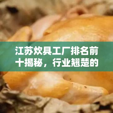 江蘇炊具工廠排名前十揭秘，行業(yè)翹楚的秘訣大揭秘！