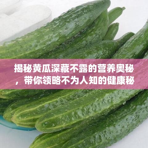 揭秘黃瓜深藏不露的營養(yǎng)奧秘，帶你領(lǐng)略不為人知的健康秘密！