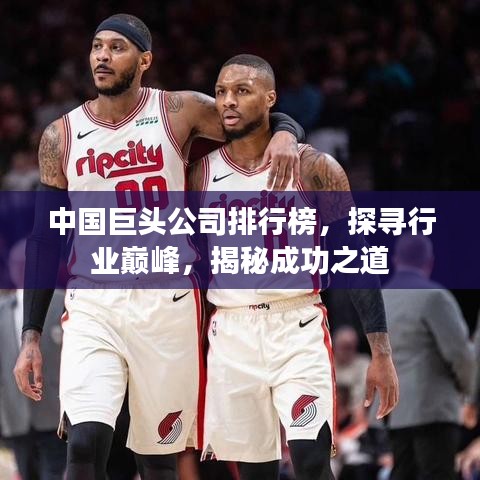 中國(guó)巨頭公司排行榜，探尋行業(yè)巔峰，揭秘成功之道