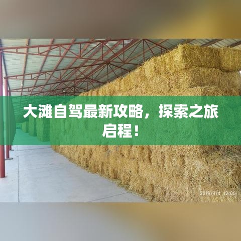 大灘自駕最新攻略，探索之旅啟程！
