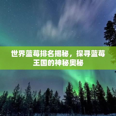 世界藍(lán)莓排名揭秘，探尋藍(lán)莓王國(guó)的神秘奧秘
