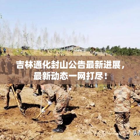 吉林通化封山公告最新進展，最新動態(tài)一網打盡！